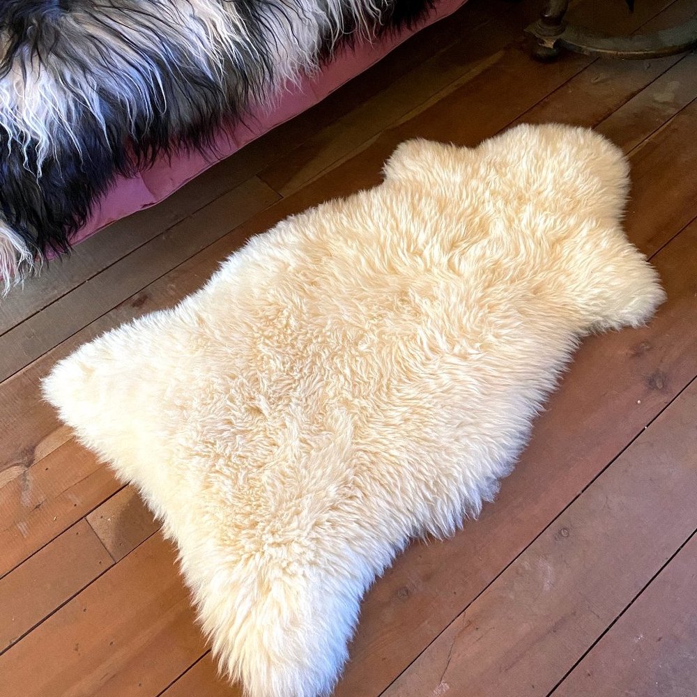 Genuine Sheepskin Rug 100% Natural From Our Farm - Picture 7 of 8